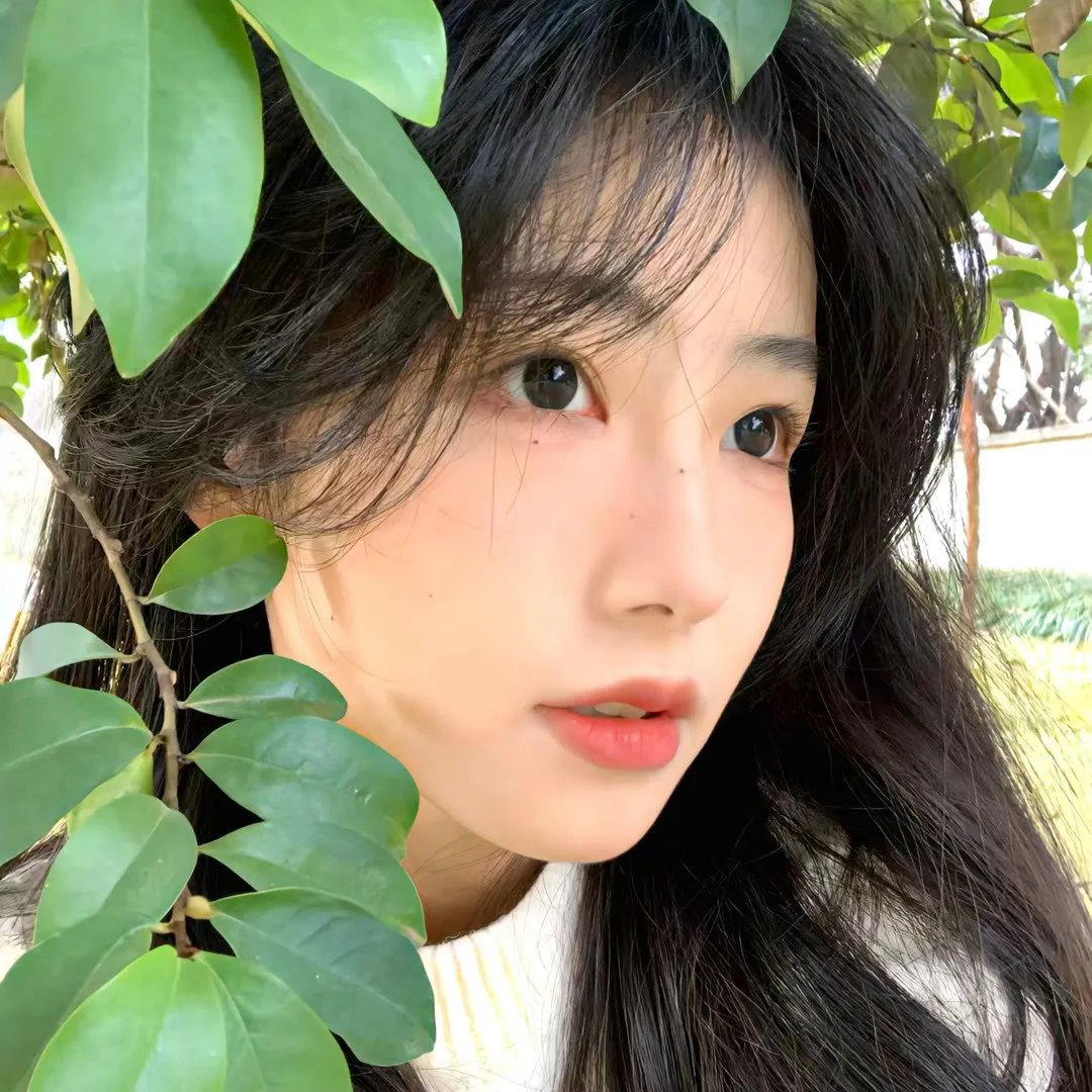 欢笑趴趴走