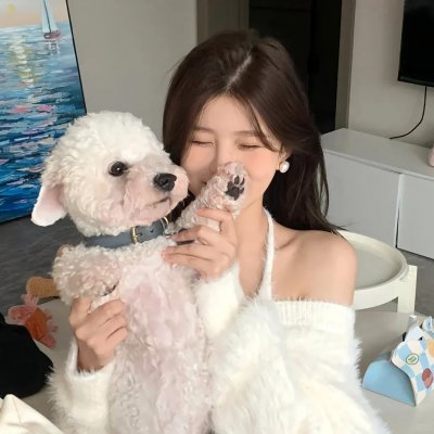 歌舞青春中国版